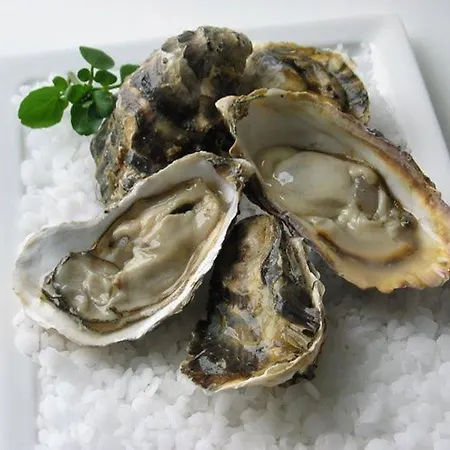 Hébergement de vacances La Boussole Centre Station Proche Agon-Coutainville