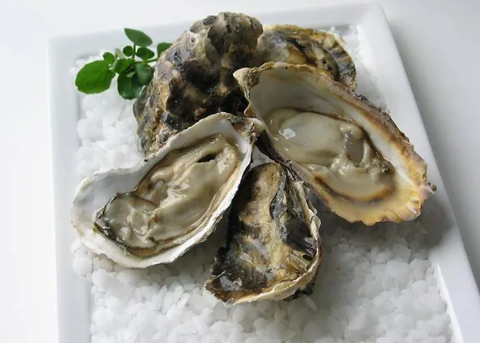 Hébergement de vacances La Boussole Centre Station Proche Agon-Coutainville